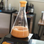 Yeast Starter and Fermentation Basics