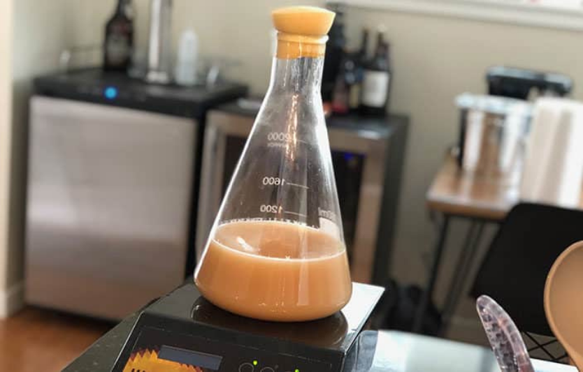 Yeast Starter and Fermentation Basics
