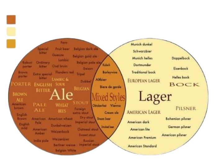 Lager vs Ale Explained