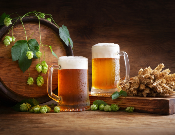 Yeast and Fermentation Control for Consistent Beer Quality