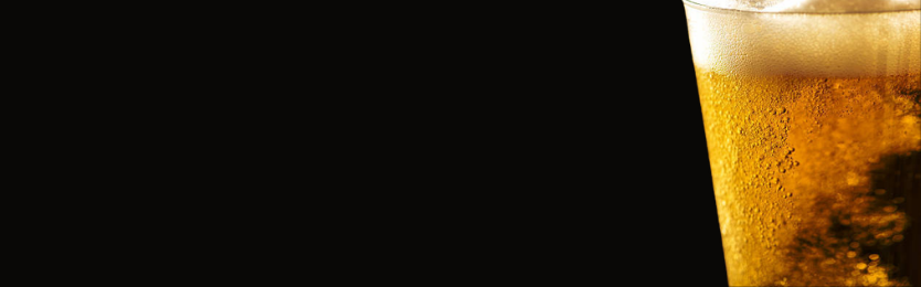 Liberty Craft Journal